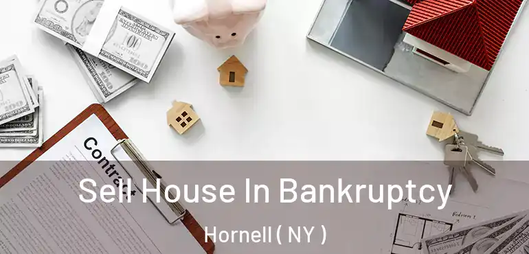  Sell House In Bankruptcy Hornell ( NY )