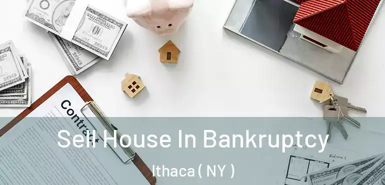  Sell House In Bankruptcy Ithaca ( NY )