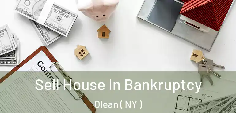  Sell House In Bankruptcy Olean ( NY )