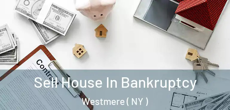  Sell House In Bankruptcy Westmere ( NY )