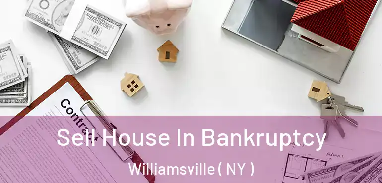 Sell House In Bankruptcy Williamsville ( NY )