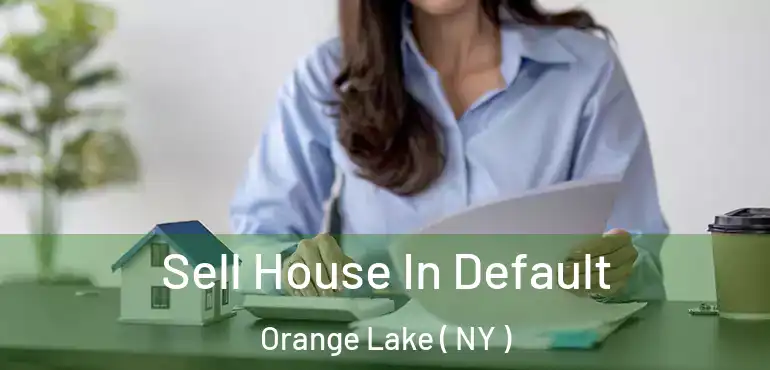  Sell House In Default Orange Lake ( NY )