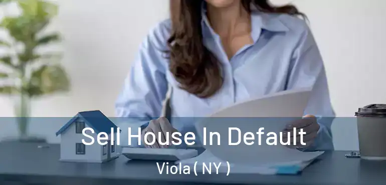  Sell House In Default Viola ( NY )