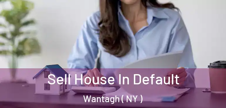  Sell House In Default Wantagh ( NY )