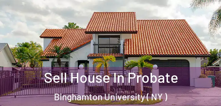  Sell House In Probate Binghamton University ( NY )