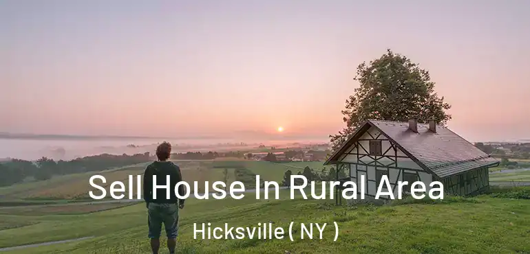  Sell House In Rural Area Hicksville ( NY )