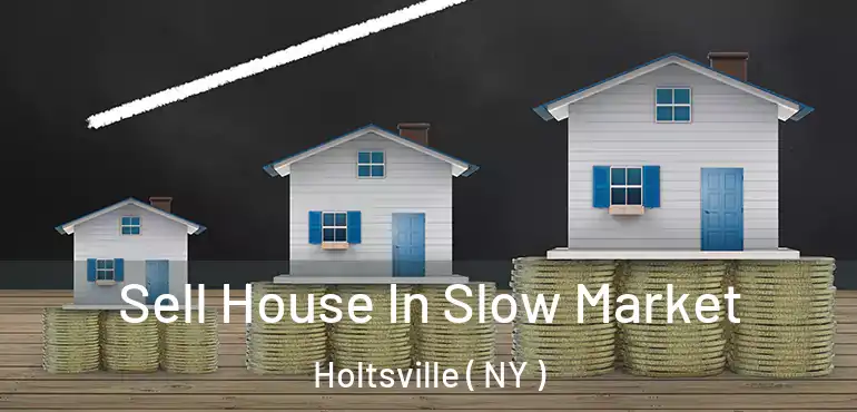  Sell House In Slow Market Holtsville ( NY )