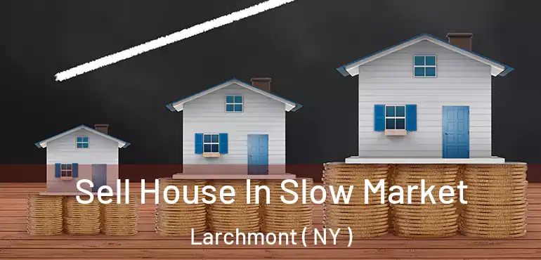  Sell House In Slow Market Larchmont ( NY )