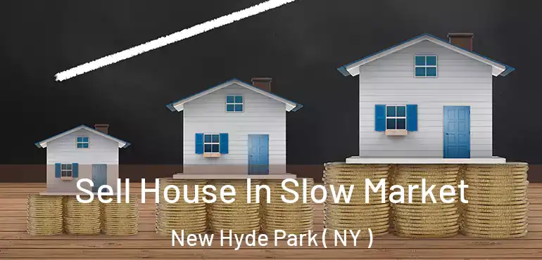  Sell House In Slow Market New Hyde Park ( NY )