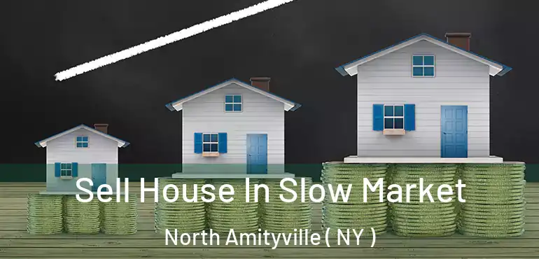  Sell House In Slow Market North Amityville ( NY )