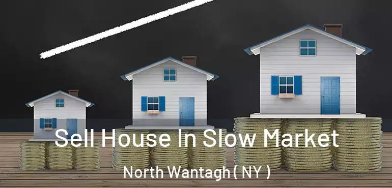  Sell House In Slow Market North Wantagh ( NY )