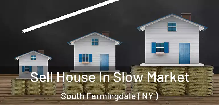  Sell House In Slow Market South Farmingdale ( NY )