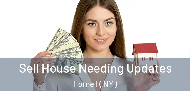  Sell House Needing Updates Hornell ( NY )