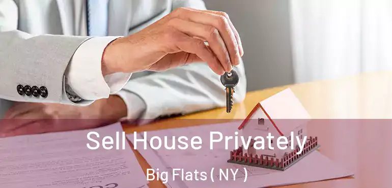  Sell House Privately Big Flats ( NY )