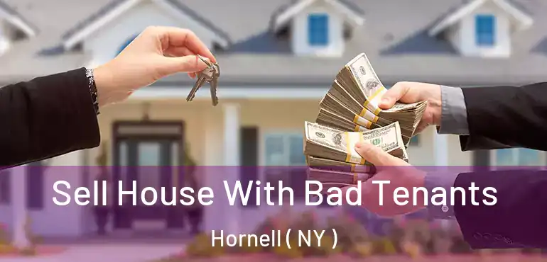  Sell House With Bad Tenants Hornell ( NY )