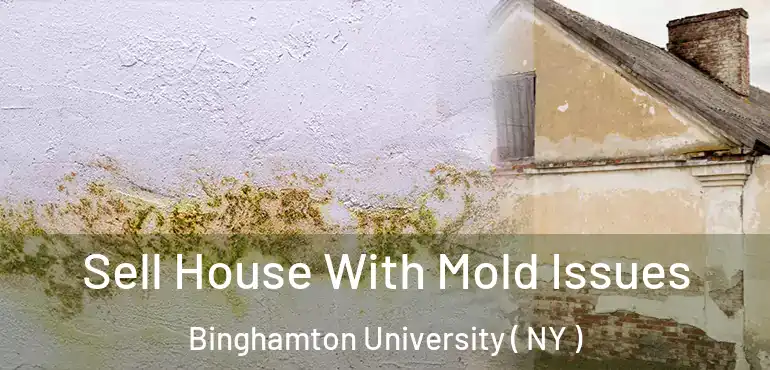  Sell House With Mold Issues Binghamton University ( NY )
