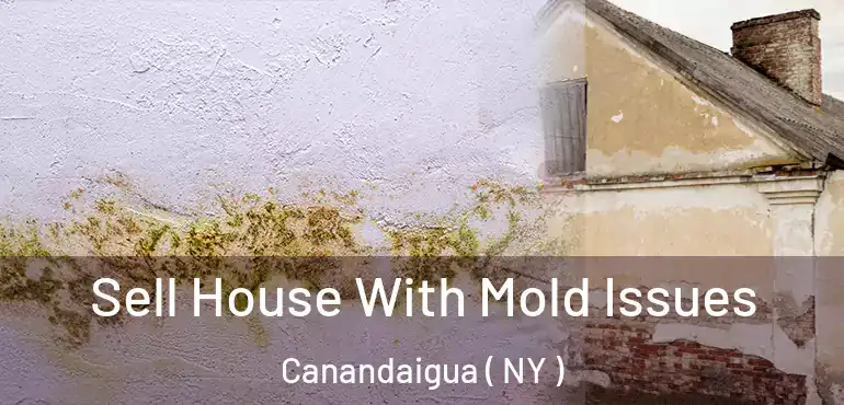  Sell House With Mold Issues Canandaigua ( NY )