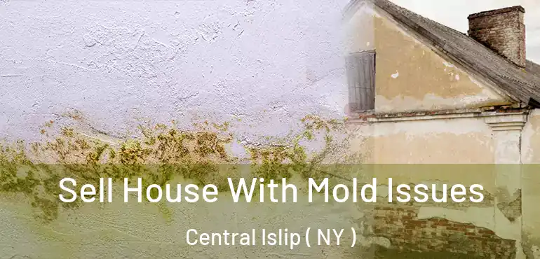  Sell House With Mold Issues Central Islip ( NY )