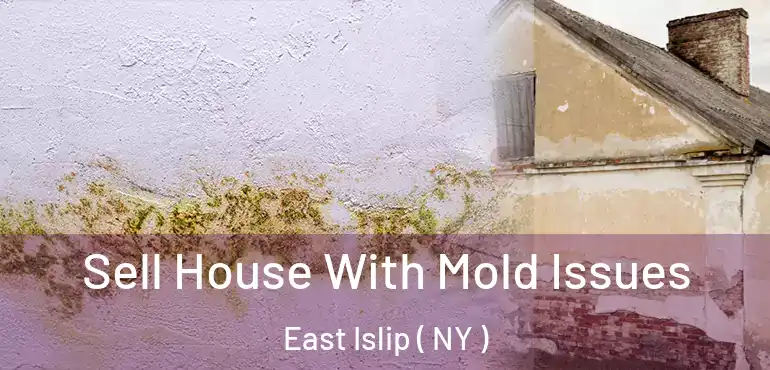  Sell House With Mold Issues East Islip ( NY )