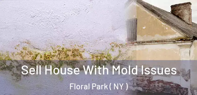  Sell House With Mold Issues Floral Park ( NY )