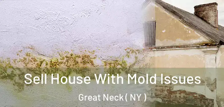  Sell House With Mold Issues Great Neck ( NY )