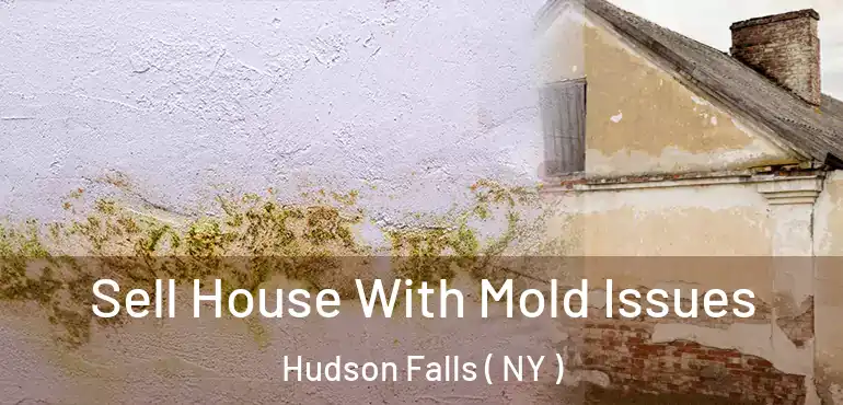  Sell House With Mold Issues Hudson Falls ( NY )