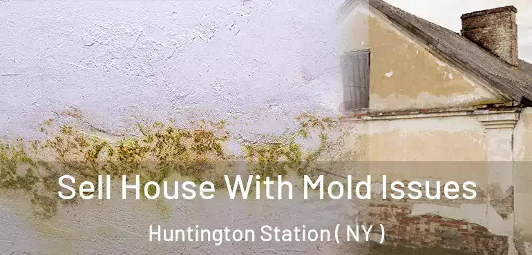  Sell House With Mold Issues Huntington Station ( NY )