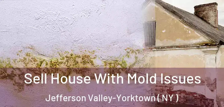  Sell House With Mold Issues Jefferson Valley-Yorktown ( NY )