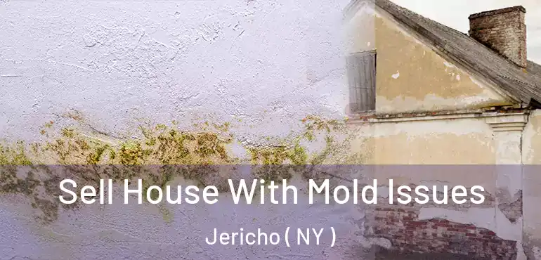  Sell House With Mold Issues Jericho ( NY )