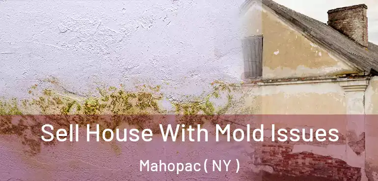  Sell House With Mold Issues Mahopac ( NY )