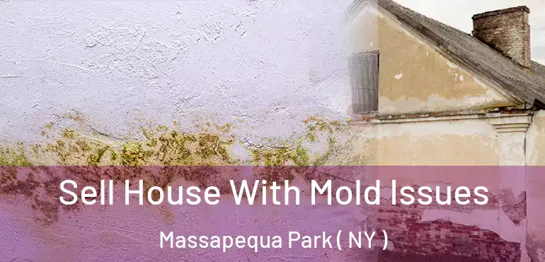  Sell House With Mold Issues Massapequa Park ( NY )