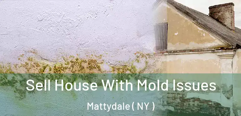  Sell House With Mold Issues Mattydale ( NY )
