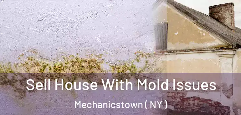  Sell House With Mold Issues Mechanicstown ( NY )