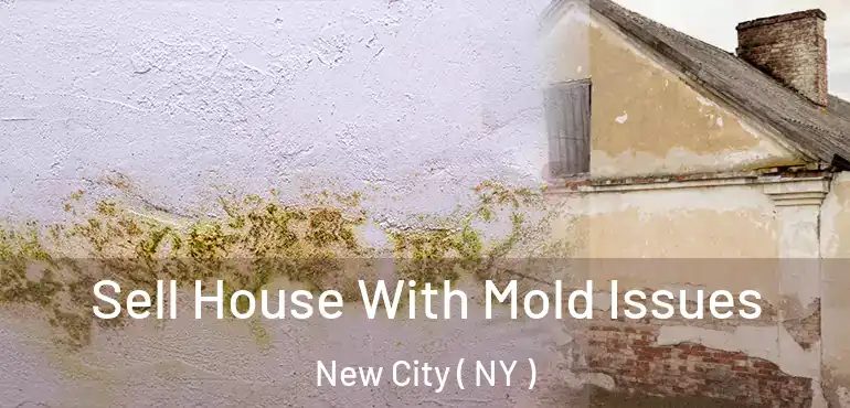  Sell House With Mold Issues New City ( NY )