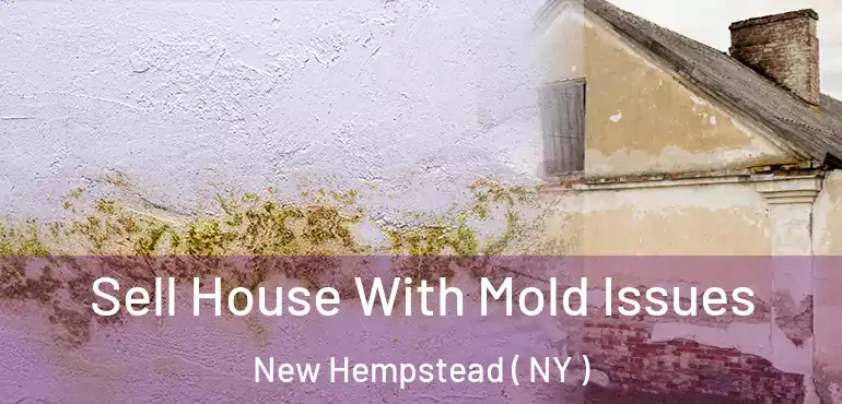  Sell House With Mold Issues New Hempstead ( NY )