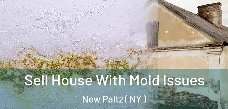  Sell House With Mold Issues New Paltz ( NY )