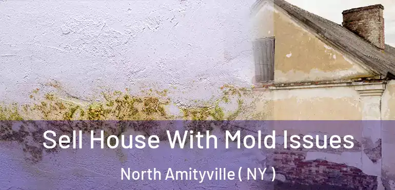  Sell House With Mold Issues North Amityville ( NY )