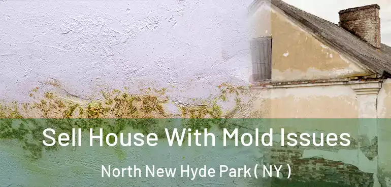  Sell House With Mold Issues North New Hyde Park ( NY )
