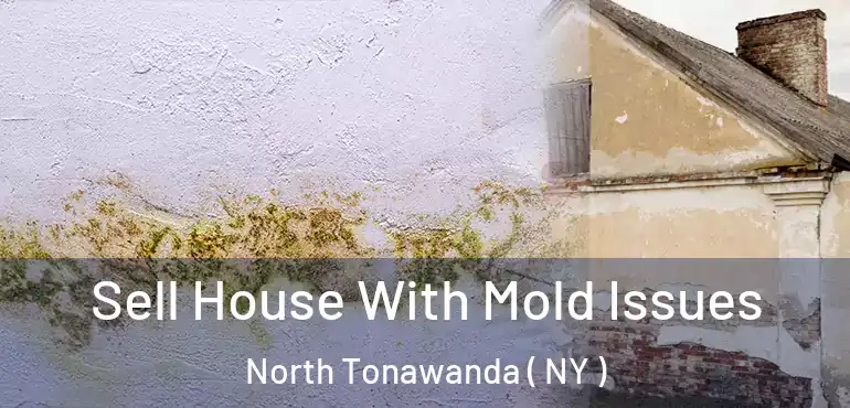  Sell House With Mold Issues North Tonawanda ( NY )