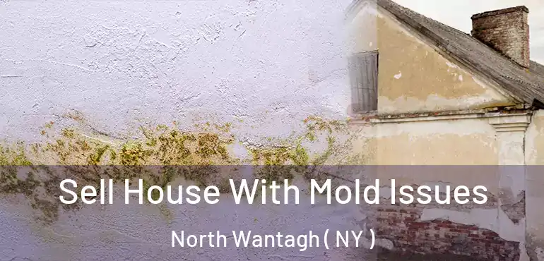  Sell House With Mold Issues North Wantagh ( NY )