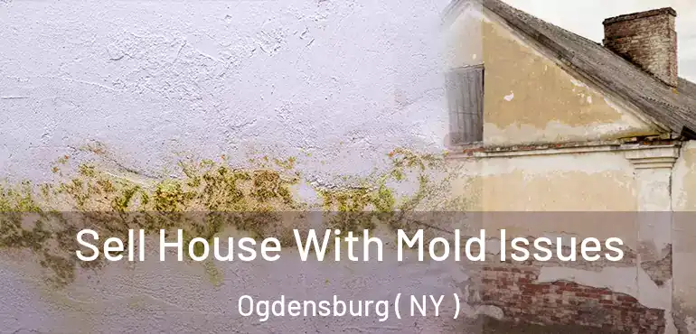  Sell House With Mold Issues Ogdensburg ( NY )
