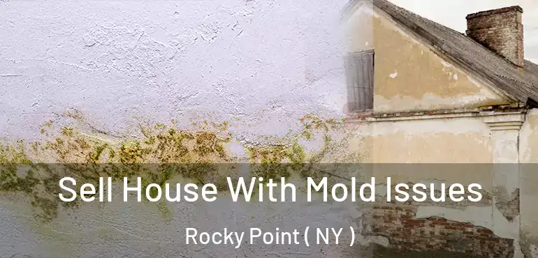  Sell House With Mold Issues Rocky Point ( NY )