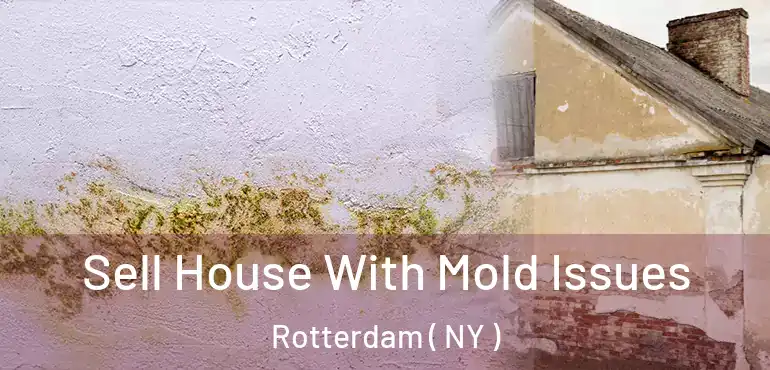  Sell House With Mold Issues Rotterdam ( NY )