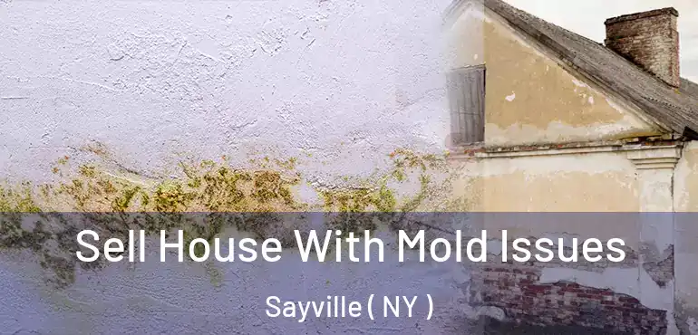  Sell House With Mold Issues Sayville ( NY )