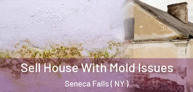  Sell House With Mold Issues Seneca Falls ( NY )