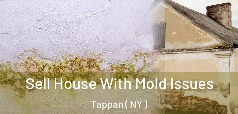  Sell House With Mold Issues Tappan ( NY )