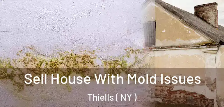 Sell House With Mold Issues Thiells ( NY )