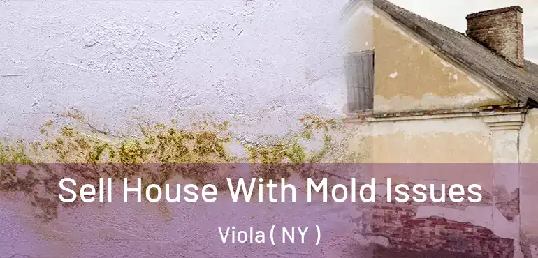  Sell House With Mold Issues Viola ( NY )