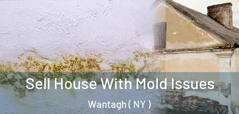  Sell House With Mold Issues Wantagh ( NY )