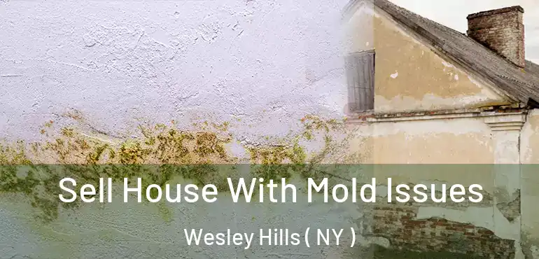  Sell House With Mold Issues Wesley Hills ( NY )